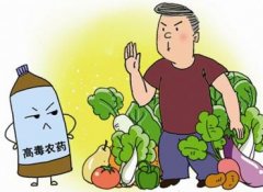 如何正確選擇適合的蔬菜？