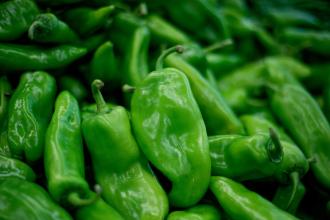 食品安全檢測儀 食品安全檢測儀