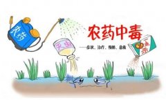 農(nóng)藥殘留速測儀助力“有機(jī)農(nóng)業(yè)”發(fā)展！