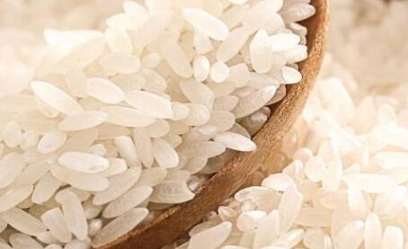 食品安全速測儀 食品安全速測儀