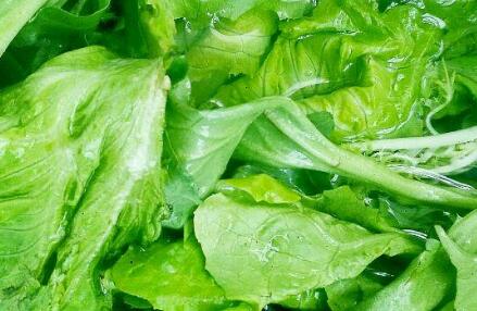 果蔬農(nóng)殘檢測儀 果蔬農(nóng)殘檢測儀