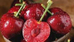 農(nóng)田科學(xué)栽培需要農(nóng)殘速測(cè)儀