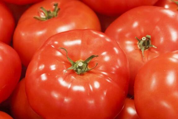 農(nóng)藥殘留速測儀 農(nóng)藥殘留速測儀