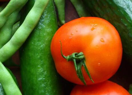 食品安全檢測(cè)儀 食品安全檢測(cè)儀